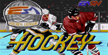 NHL Hockey 91