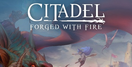 Citadel: Forged with Fire