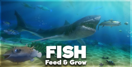 Feed And Grow Fish