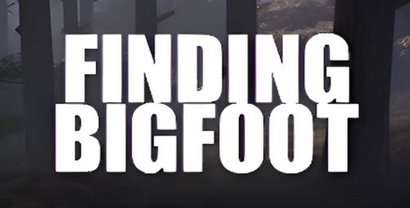 Finding Bigfoot