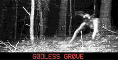 Godless Grove