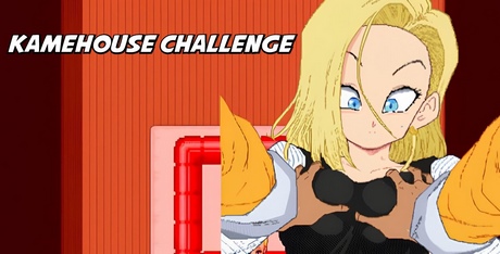 Kamehouse Challenge
