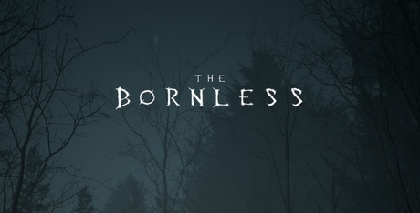 The Bornless