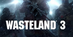 Wasteland 3