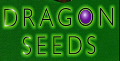 Dragonseeds