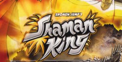 Shaman King