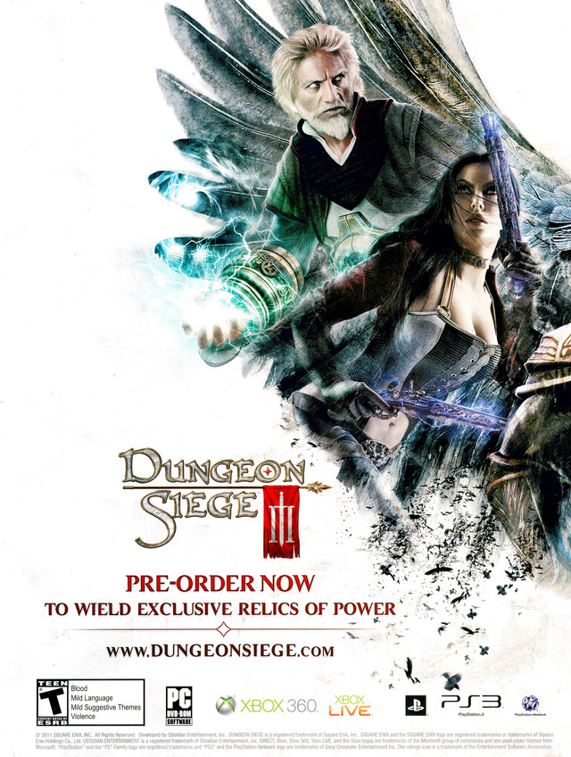 Dungeon Siege III Poster