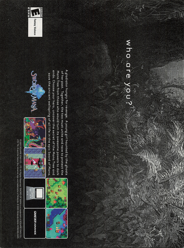Sword of Mana Poster