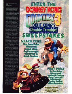 Donkey Kong Country 3 Poster