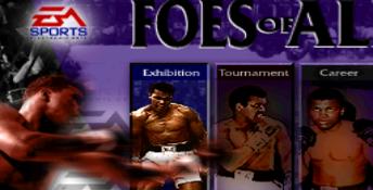 Foes of Ali