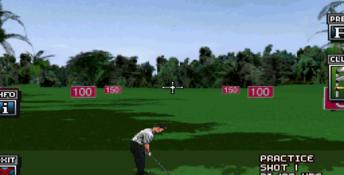 World Cup Golf 3DO Screenshot