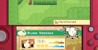 Adventure Bar Story 3DS Screenshot