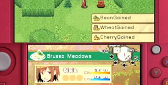 Adventure Bar Story 3DS Screenshot