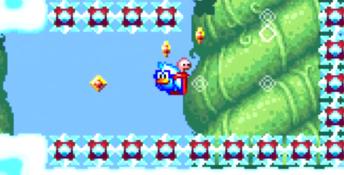 Chicken Wiggle