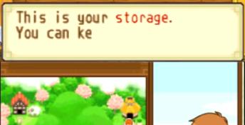 Harvest Moon: The Tale of Two Towns 3DS Screenshot