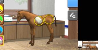 Horse Vet 3D 3DS Screenshot