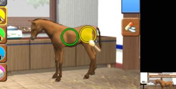 Horse Vet 3D 3DS Screenshot
