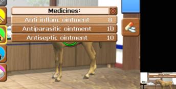 Horse Vet 3D 3DS Screenshot