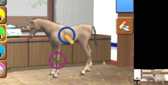 Horse Vet 3D 3DS Screenshot