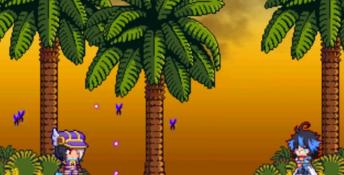 Legend of Dark Witch 2 3DS Screenshot