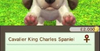 Nintendogs + Cats: French Bulldog & New Friends 3DS Screenshot