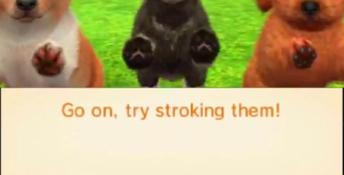Nintendogs + Cats: Toy Poodle & New Friends 3DS Screenshot