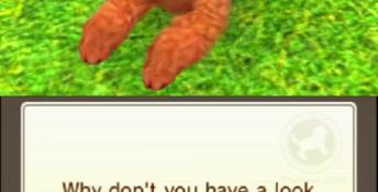Nintendogs + Cats: Toy Poodle & New Friends