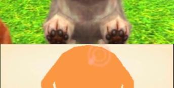 Nintendogs + Cats: Toy Poodle & New Friends