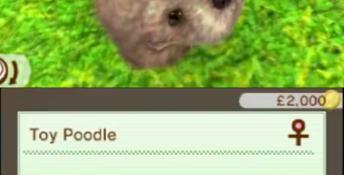Nintendogs + Cats: Toy Poodle & New Friends