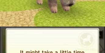 Nintendogs + Cats: Toy Poodle & New Friends 3DS Screenshot