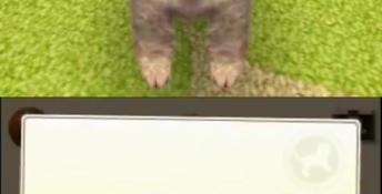 Nintendogs + Cats: Toy Poodle & New Friends 3DS Screenshot