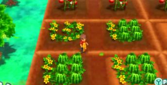 Story of Seasons: Trio of Towns 3DS Screenshot