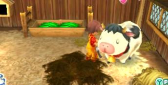 Story of Seasons: Trio of Towns