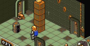 Treasure Trap