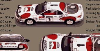 World Rally