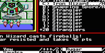 Might And Magic 2 DOS Screenshot