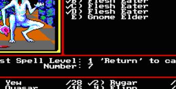 Might And Magic 2 DOS Screenshot