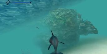 Ecco The Dolphin