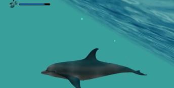 Ecco The Dolphin