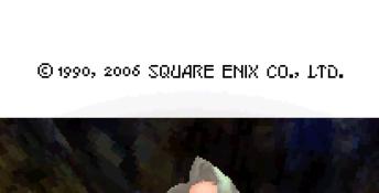 Final Fantasy III DS Screenshot
