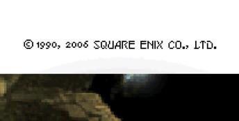 Final Fantasy III DS Screenshot