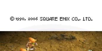 Final Fantasy III DS Screenshot