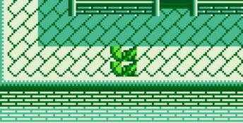 Aretha II Gameboy Screenshot