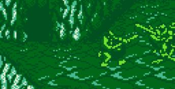 Battletoads in Ragnarok's World Gameboy Screenshot