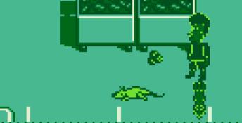 Beavis and Butt-head Gameboy Screenshot