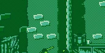 Cutthroat Island Gameboy Screenshot