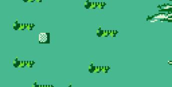 Dragons Lair Gameboy Screenshot
