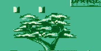 Dragons Lair Gameboy Screenshot