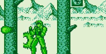 Fighting Simulator: 2-in-1 Flying Warriors Gameboy Screenshot