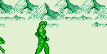 Fighting Simulator: 2-in-1 Flying Warriors Gameboy Screenshot